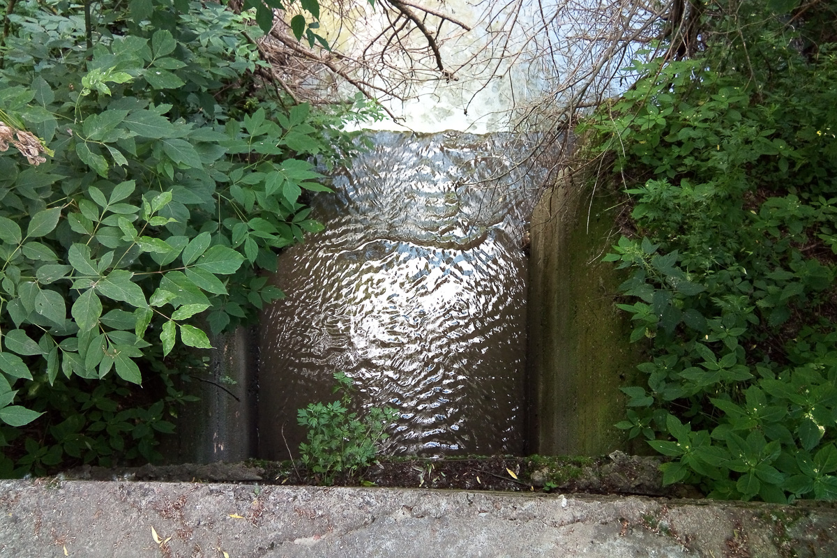 Тест-драйв приложения генератора случайных чисел во Владимире