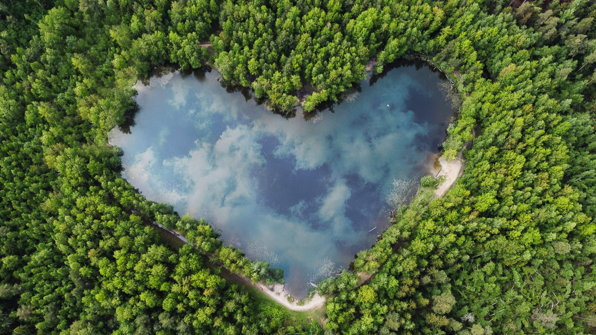 Фотограф Михаил Гуров освоил работу квадрокоптера и теперь делает просто невероятные снимки. На многих из них - пейзажи Владимирского края. Мы выбрали самые-самые