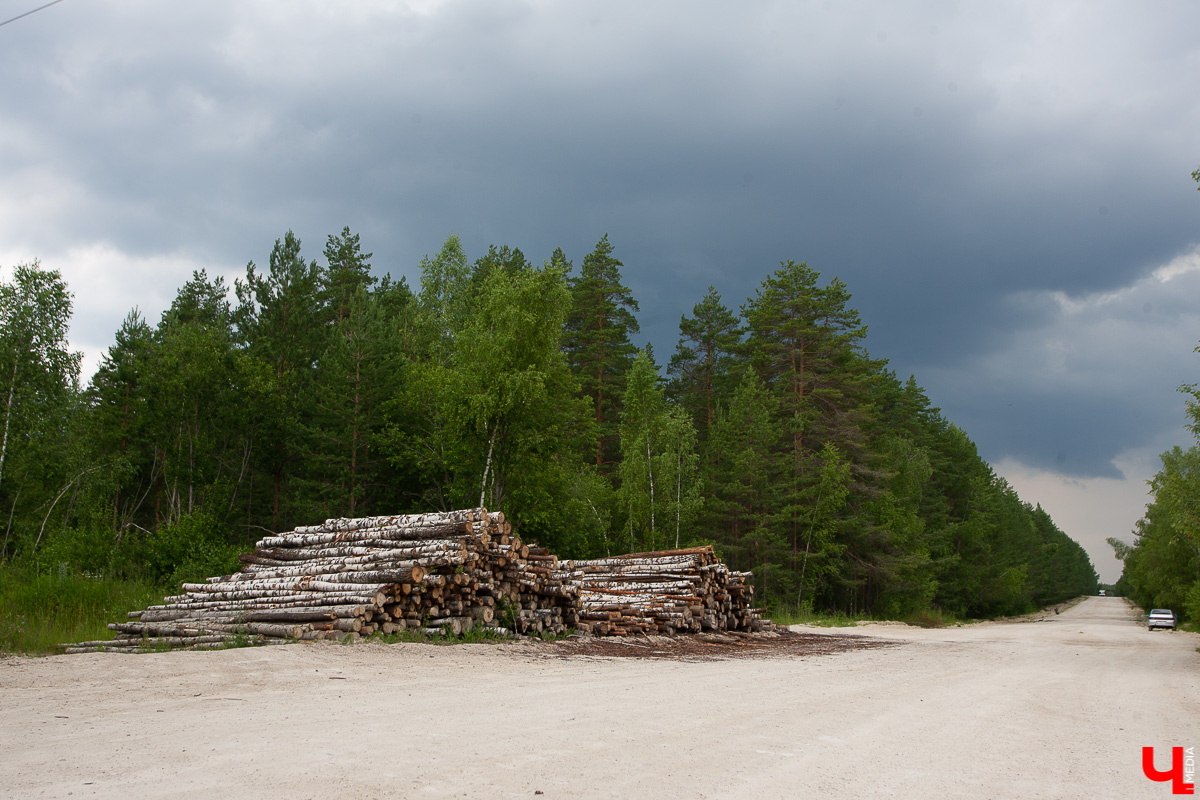 Дюкинский заказник - одно из самых популярных мест для отдыха на природе. Маршрут, достопримечательности, правила поведения - все в нашем обзоре