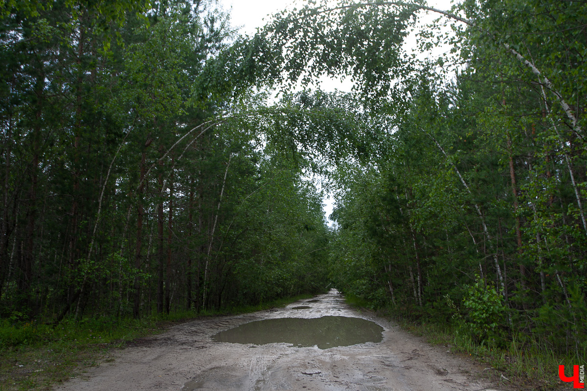 Дюкинский заказник - одно из самых популярных мест для отдыха на природе. Маршрут, достопримечательности, правила поведения - все в нашем обзоре