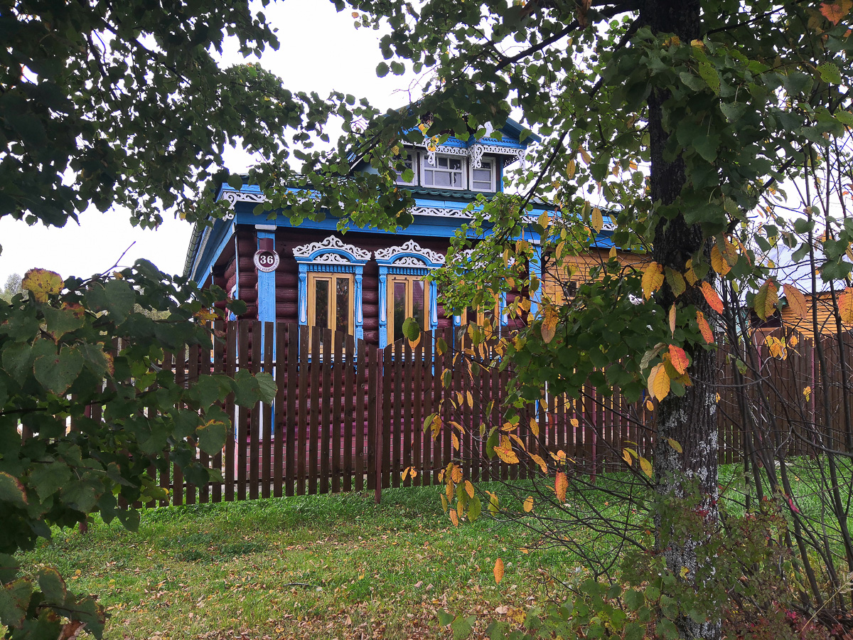 Екатеринбуржцы Елена и Алексей Поморцевы захотели переехать в деревню. Выбрали усадьбу в Камешковском районе и теперь снимают ее преображение для youtube-канала «Побег из мегаполиса»