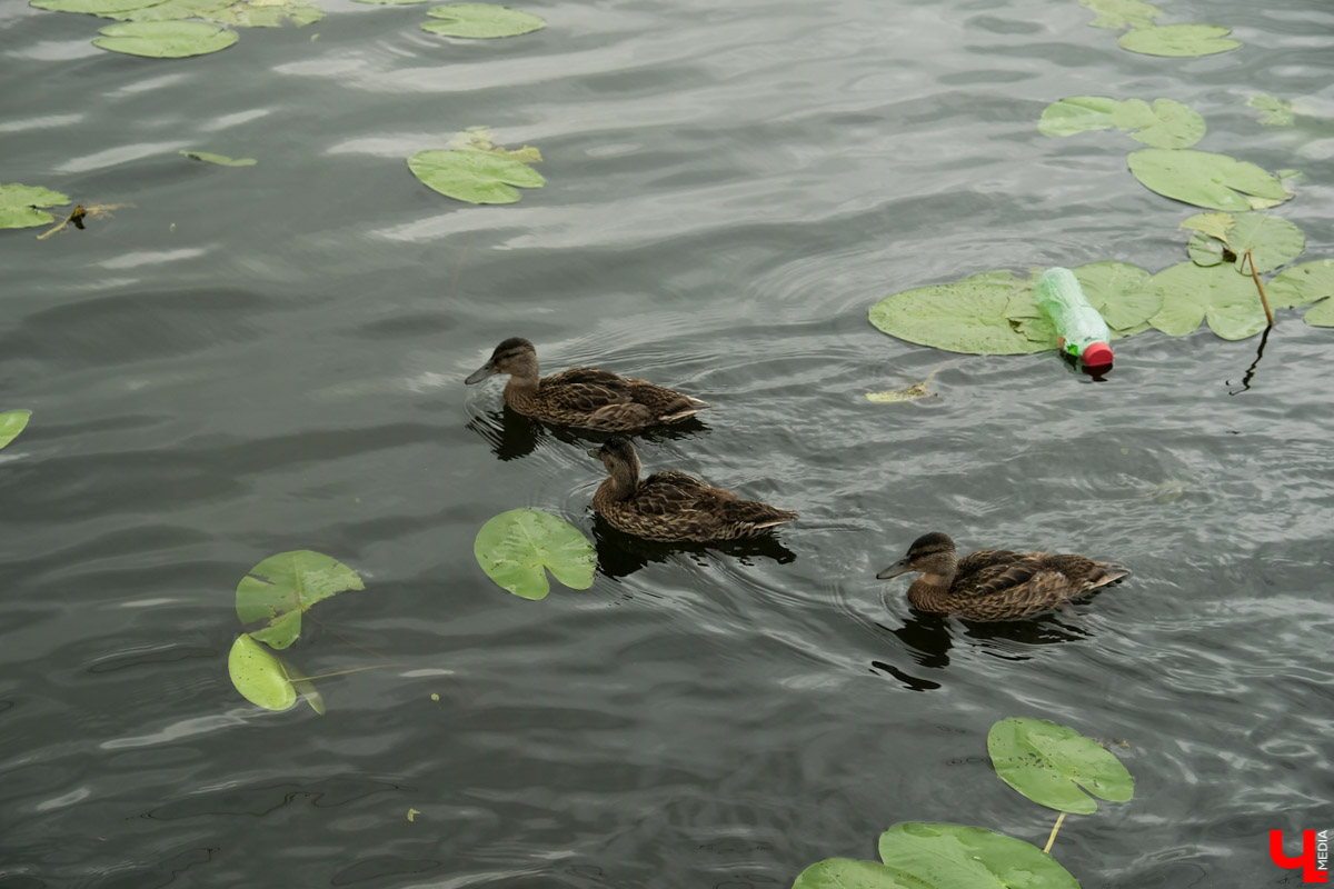 В Суздале продолжается подготовка к тысячелетнему юбилею города. В историческом центре возводят местный парк Зарядье