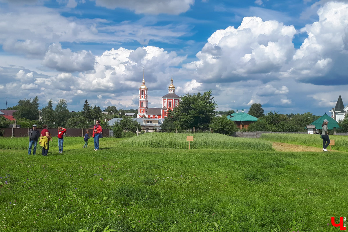 Известный актер Виктор Бычков озвучил экскурсию для аудиогида по суздальскому Музею деревянного зодчества. Мы протестировали новинку и делимся впечатлениями