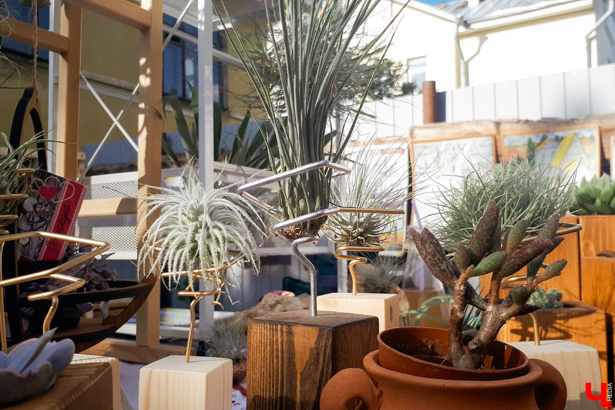 25 и 26 июля во Владимире работал «Летний маркет». На этот раз мастера хендмейда разместились в «РестоДворе» на Девической