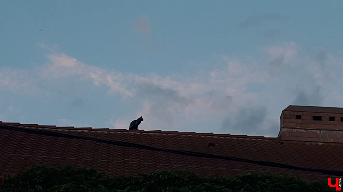 Фотопрогулка по Юго-западному району Владимира. Необычные дома на улицах Нижняя Дуброва, Пугачева, Совхозная, Красная