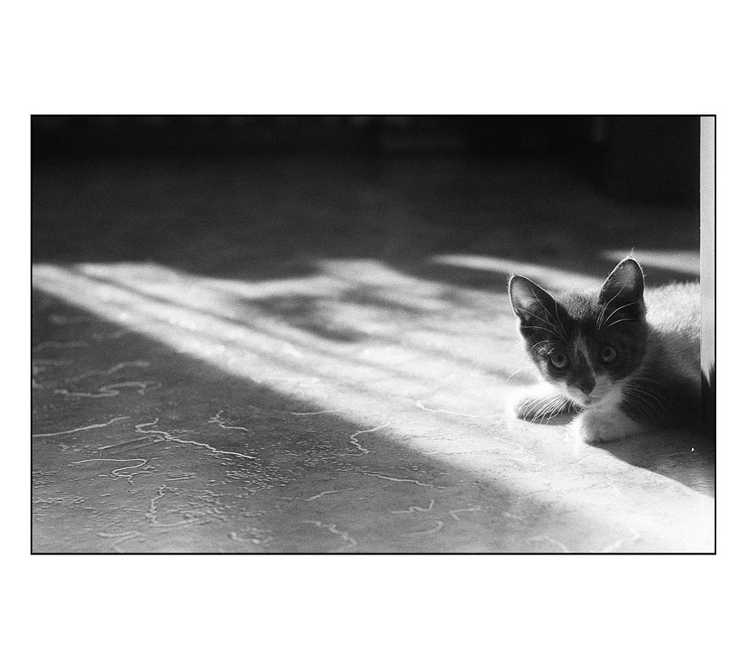 Два хобби Артема Пестова: готовка и пленочная фотография. Одно из них приносит деньги, второе забирает. Зато теперь мы знаем, как город Владимир выглядит в объективе современного документалиста