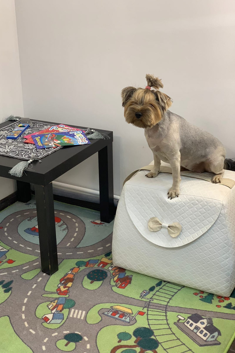 Не так давно Виктория Селеметова открыла на Большой Нижегородской новую студию красоты сети Victory. Девушка активно развивает свой бренд и в других направлениях: возглавляет модельное агентство и проводит региональные конкурсы красоты