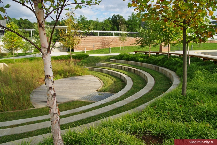 Московское архитектурное бюро «Реформа» будет разрабатывать концепцию парка у ДТЮ. На работы выделят 3,9 млн рублей. Но для начала спросят мнение жителей Владимира