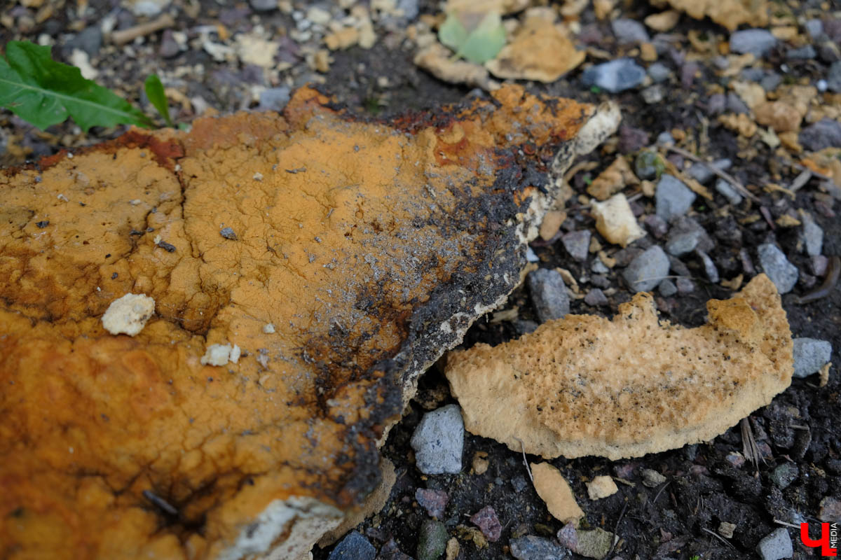 В нескольких местах Владимира стоят дома, обработанные пенополиуретаном. От времени и УФ-лучей он потрескался и принял жуткий вид