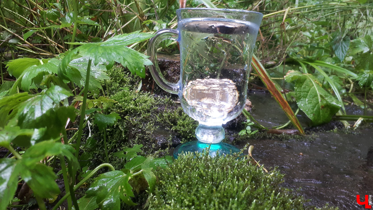 Где во Владимире набрать чистой родниковой воды? 6 проверенных мест