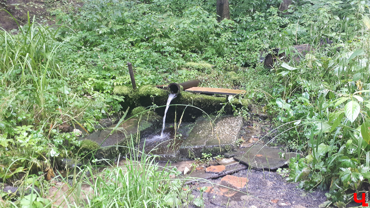 Где во Владимире набрать чистой родниковой воды? 6 проверенных мест