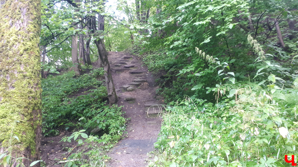 Где во Владимире набрать чистой родниковой воды? 6 проверенных мест
