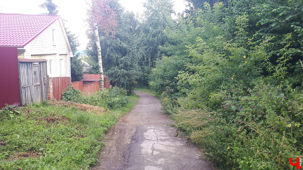 Где во Владимире набрать чистой родниковой воды? 6 проверенных мест