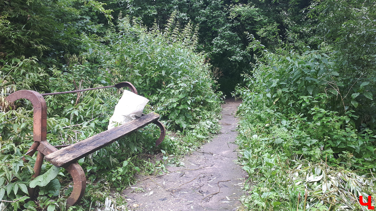 Где во Владимире набрать чистой родниковой воды? 6 проверенных мест