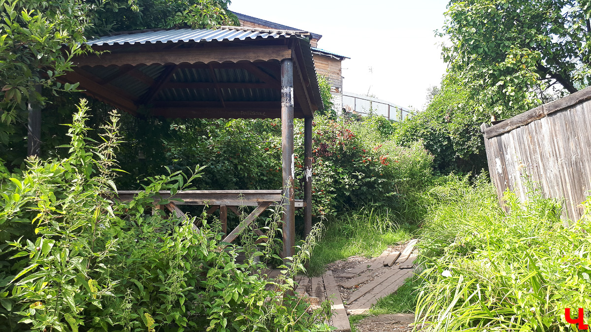 Где во Владимире набрать чистой родниковой воды? 6 проверенных мест