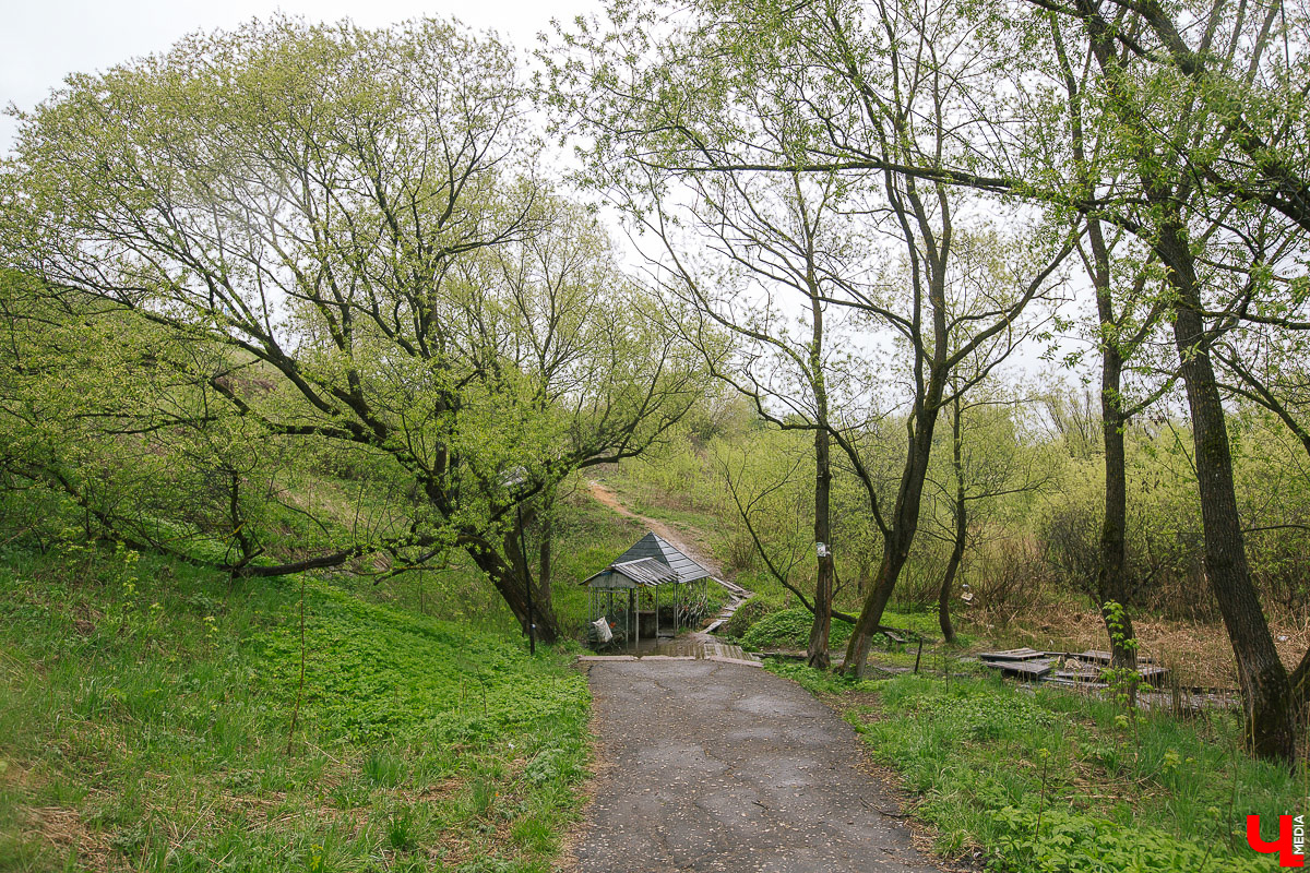 Где во Владимире набрать чистой родниковой воды? 6 проверенных мест