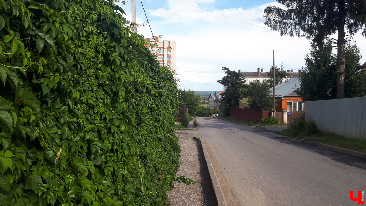 Где во Владимире набрать чистой родниковой воды? 6 проверенных мест