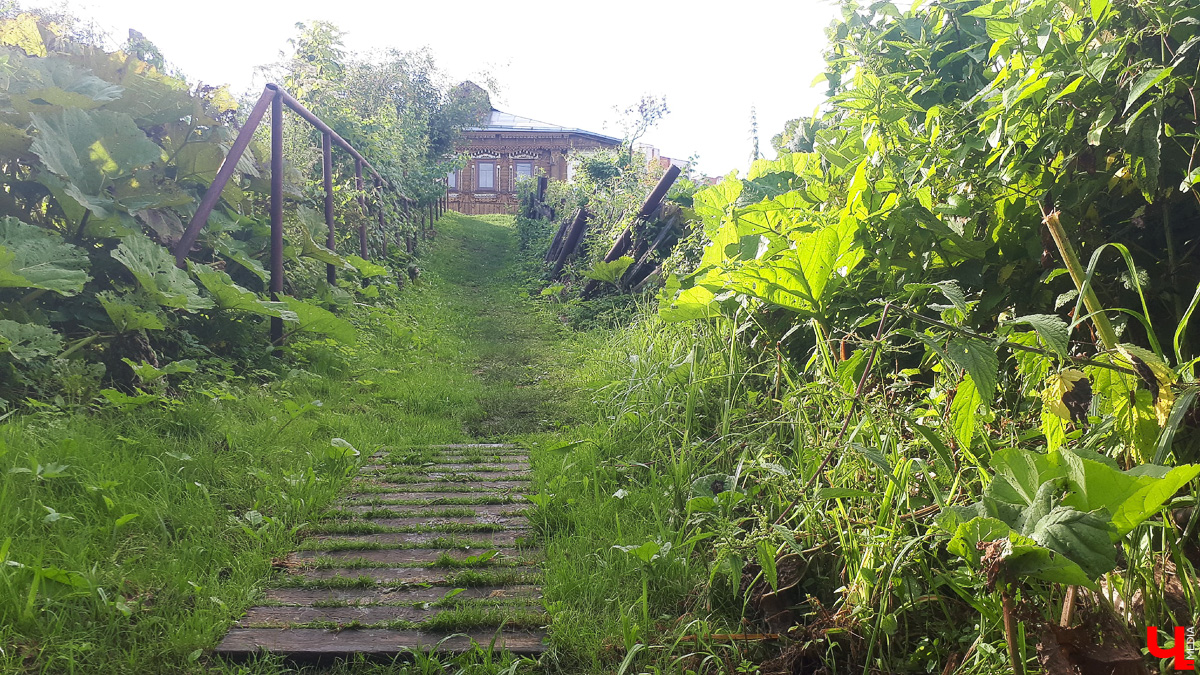 Где во Владимире набрать чистой родниковой воды? 6 проверенных мест