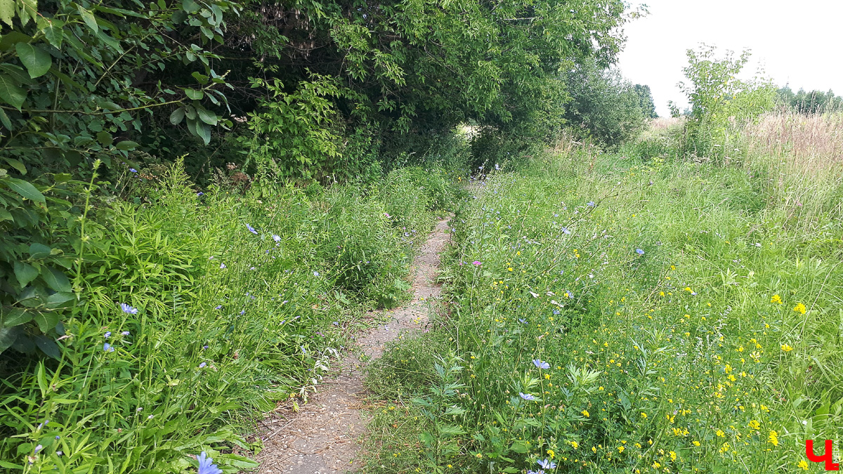 Где во Владимире набрать чистой родниковой воды? 6 проверенных мест