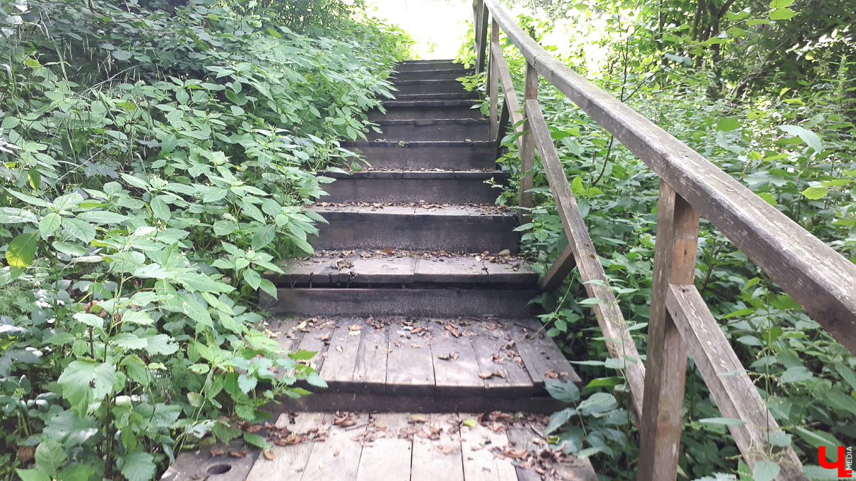 Где во Владимире набрать чистой родниковой воды? 6 проверенных мест