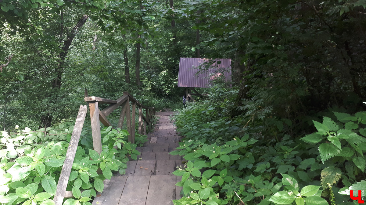 Где во Владимире набрать чистой родниковой воды? 6 проверенных мест