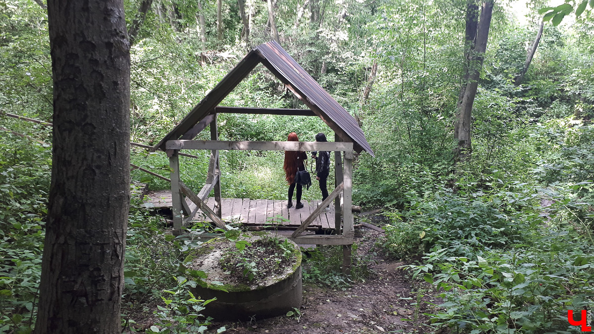 Где во Владимире набрать чистой родниковой воды? 6 проверенных мест