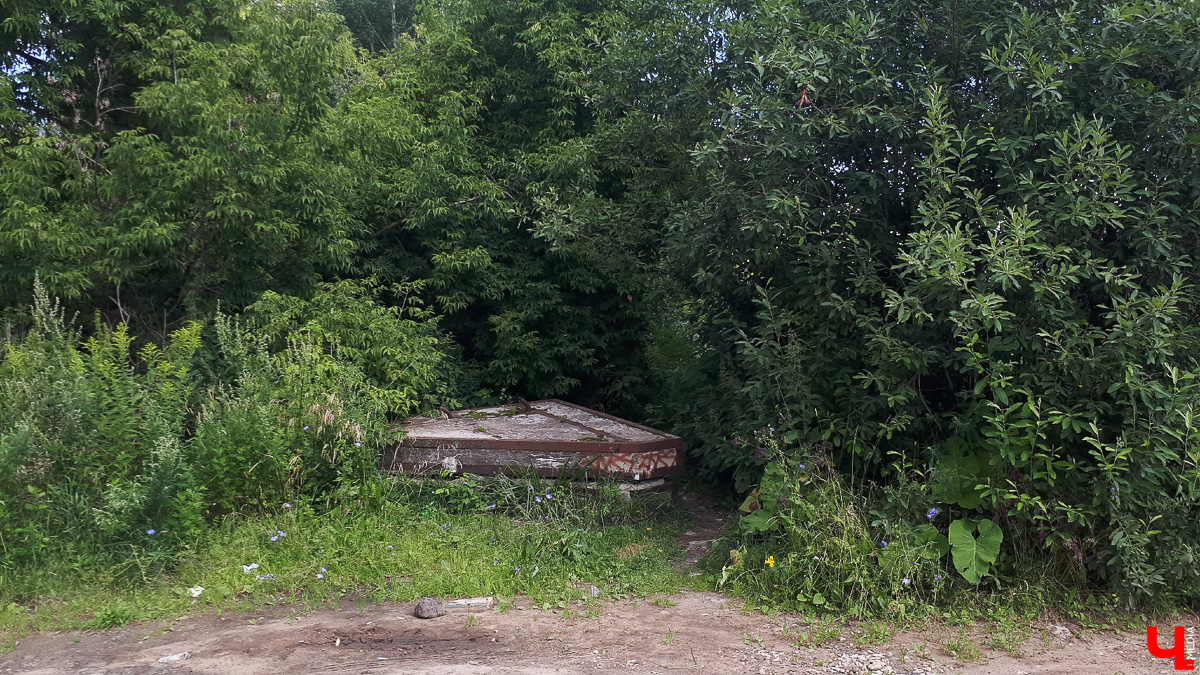 Где во Владимире набрать чистой родниковой воды? 6 проверенных мест