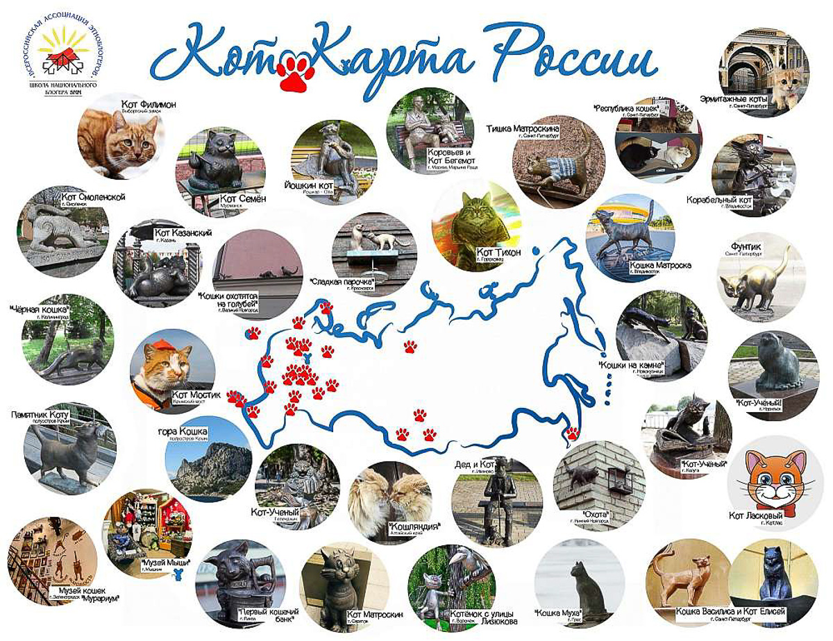 Восхитительные, известные и… хвостатые. Котики, которых знают многие во Владимирской области