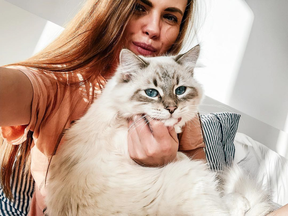 Восхитительные, известные и… хвостатые. Котики, которых знают многие во Владимирской области