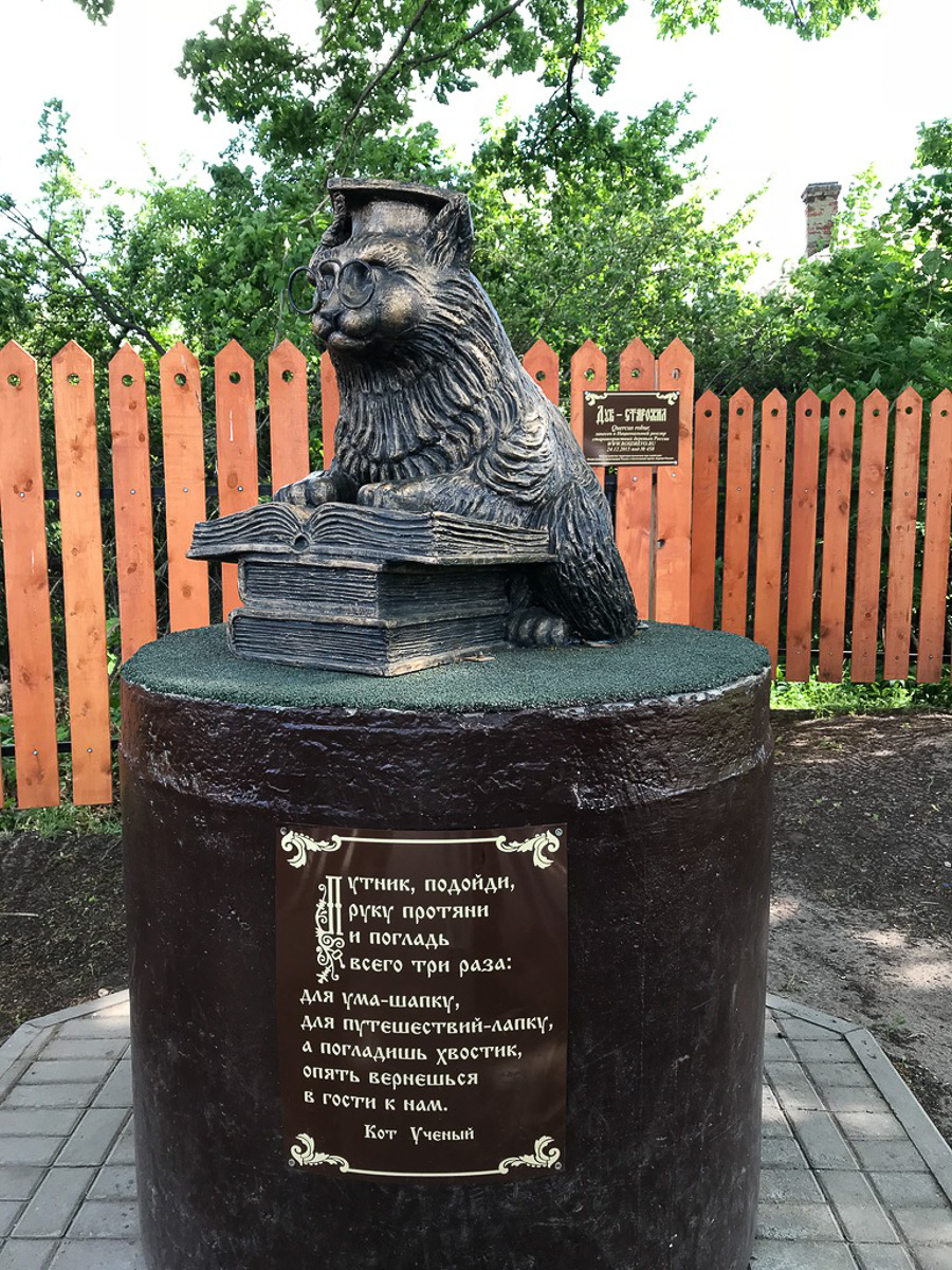 Восхитительные, известные и… хвостатые. Котики, которых знают многие во Владимирской области