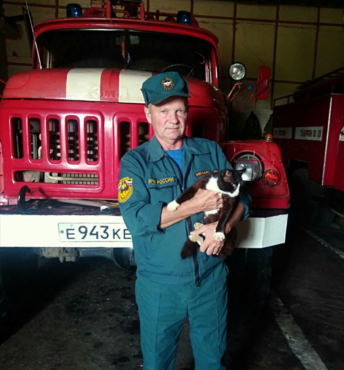 Восхитительные, известные и… хвостатые. Котики, которых знают многие во Владимирской области