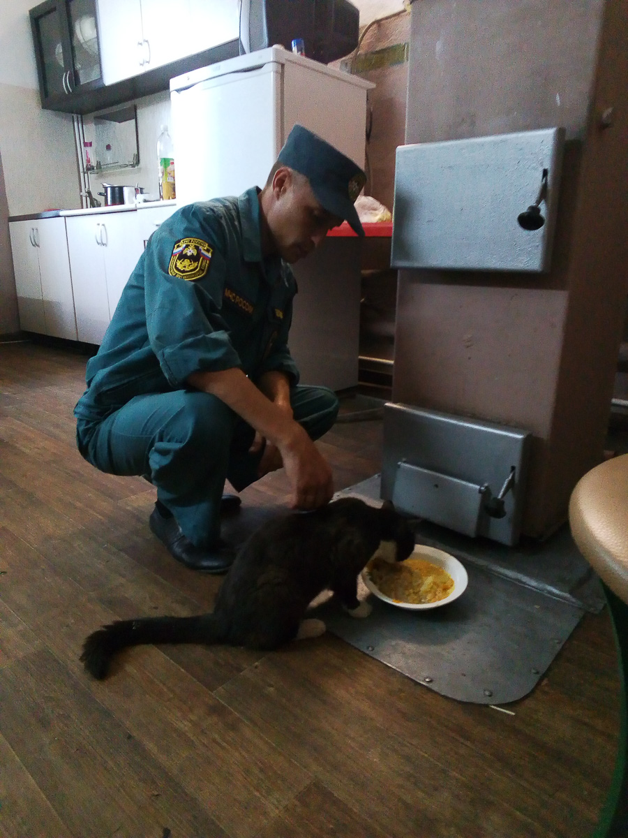 Восхитительные, известные и… хвостатые. Котики, которых знают многие во Владимирской области