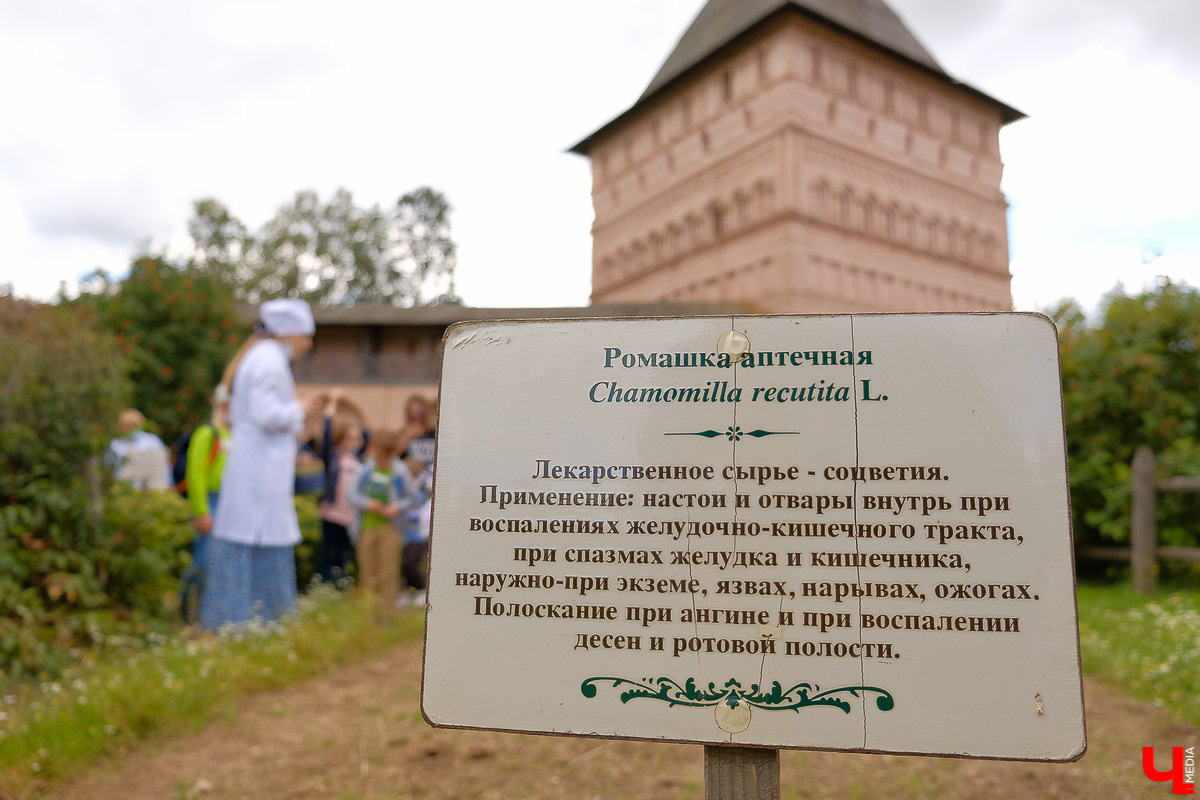 На праздник собрались и местные жители, и гости Суздаля. Несмотря на уходящее лето, это первое официальное событие ВСМЗ на открытом воздухе