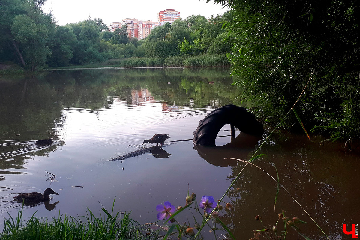 Новое веяние в урбанистике: проекты обновления общественных пространств обсуждают с жителями региона онлайн