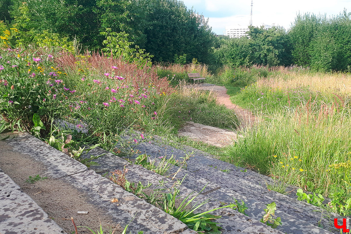 Новое веяние в урбанистике: проекты обновления общественных пространств обсуждают с жителями региона онлайн