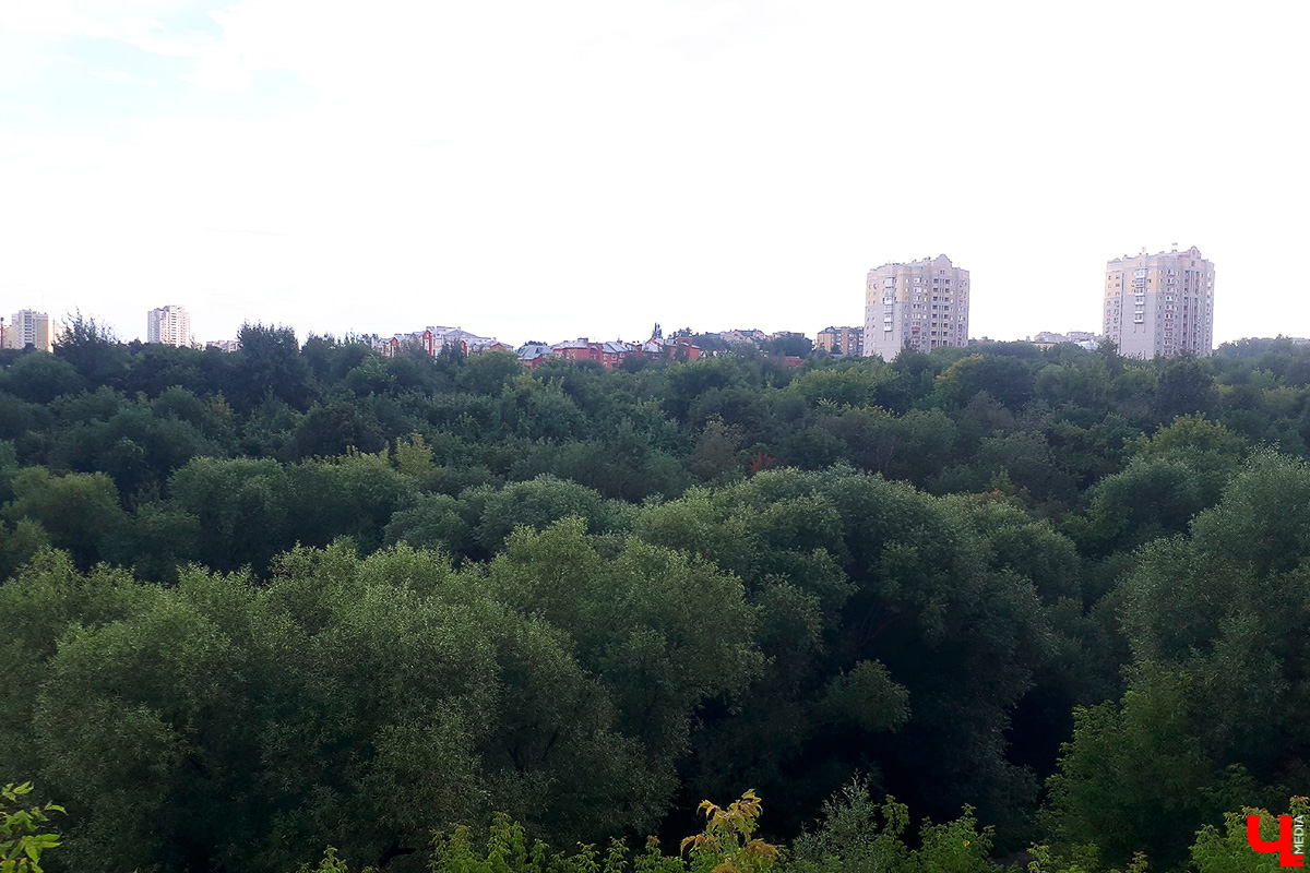 Новое веяние в урбанистике: проекты обновления общественных пространств обсуждают с жителями региона онлайн