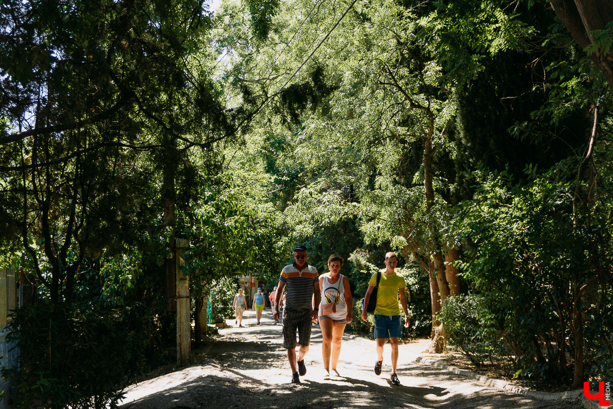 Ходит слух, что поездка в Крым дороже полета в Турцию... Изучаем один из самых популярных курортов года: цены, локации, «звезды». И делимся лайфхаками, которые помогут сберечь финансы во время крымских каникул