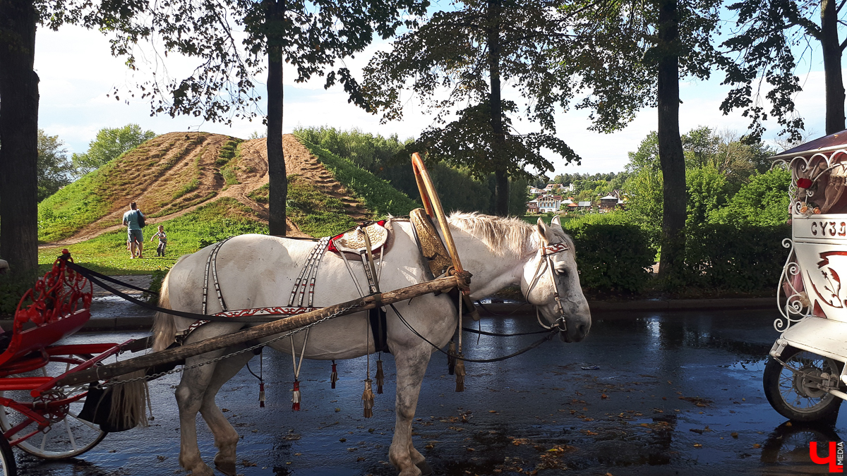 Состоялась презентация «Стратегии пространственного развития Суздаля до 2030 года». В документе рассказано, каким город может стать через 10 лет
