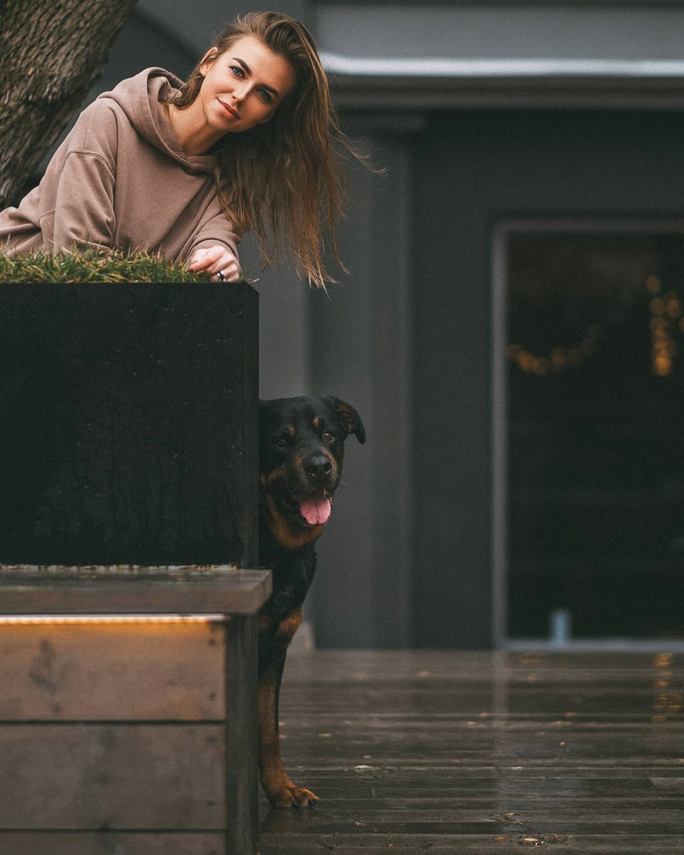 Тренд на заведения dog-friendly давно дошел и до Владимира. Мы составили обзор мест, в которых посетители уже были замечены вместе с любимыми питомцами. Причем не только с собаками