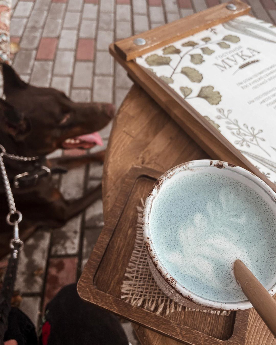 Тренд на заведения dog-friendly давно дошел и до Владимира. Мы составили обзор мест, в которых посетители уже были замечены вместе с любимыми питомцами. Причем не только с собаками