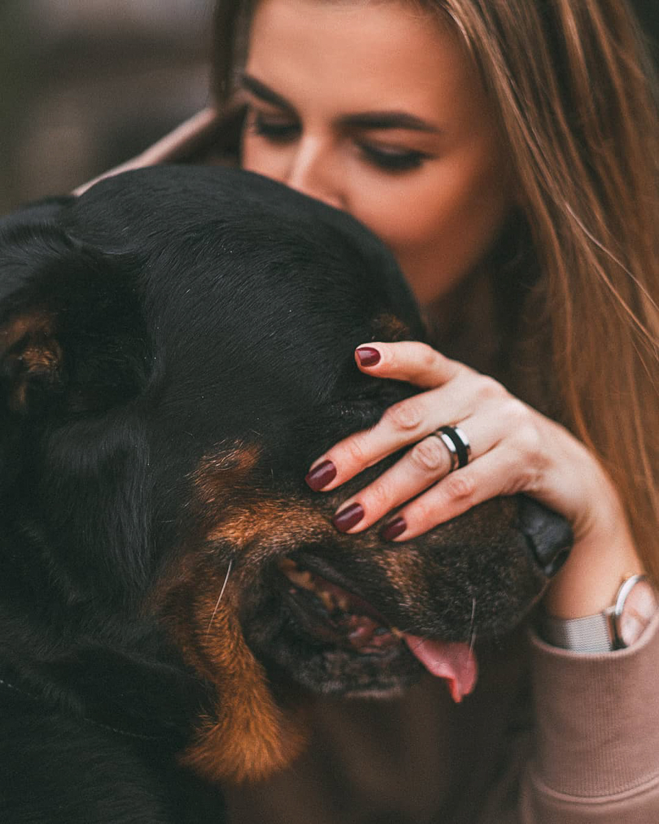 Тренд на заведения dog-friendly давно дошел и до Владимира. Мы составили обзор мест, в которых посетители уже были замечены вместе с любимыми питомцами. Причем не только с собаками