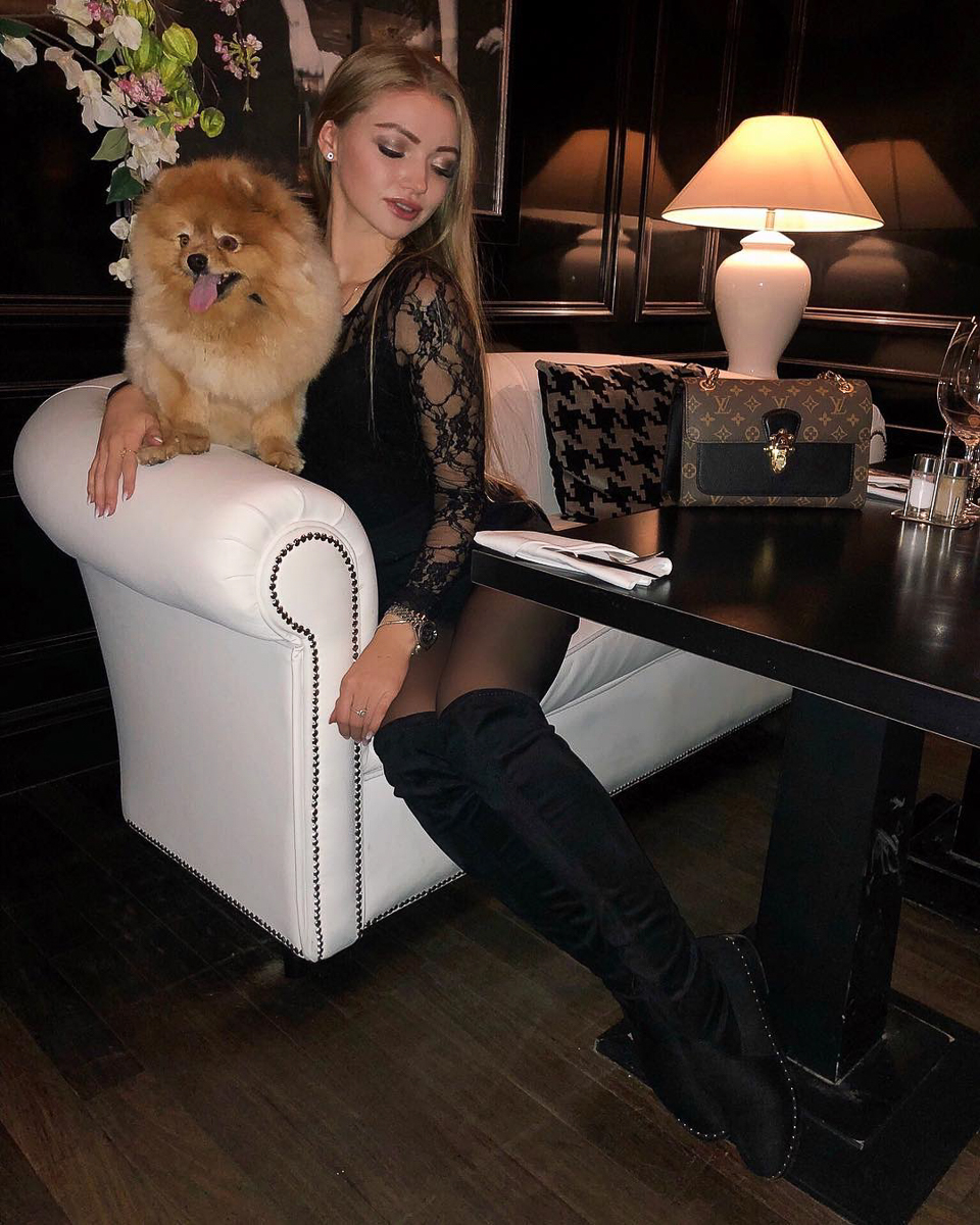 Тренд на заведения dog-friendly давно дошел и до Владимира. Мы составили обзор мест, в которых посетители уже были замечены вместе с любимыми питомцами. Причем не только с собаками