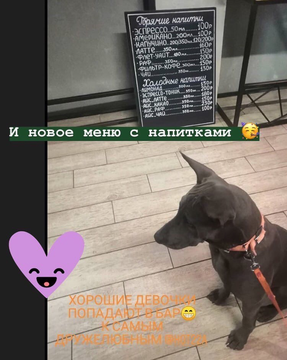 Тренд на заведения dog-friendly давно дошел и до Владимира. Мы составили обзор мест, в которых посетители уже были замечены вместе с любимыми питомцами. Причем не только с собаками