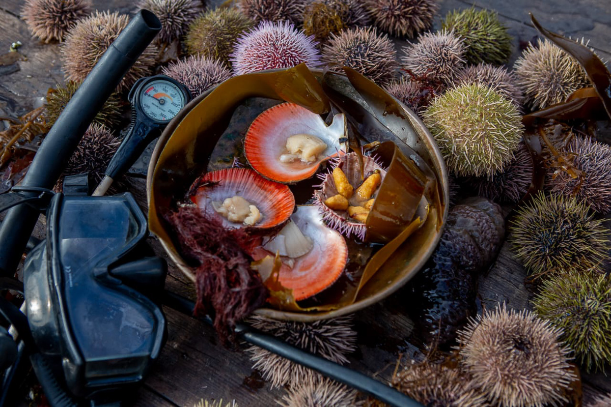 Проект «Гастрономическая карта России» начинался во Владимирской области. И недавно вышел на новый этап — стартовала сертификация ресторанов