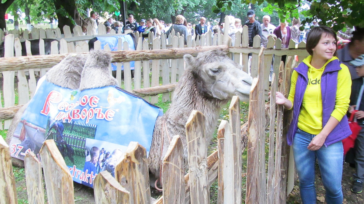 Пока не ясно, когда и как будут отмечать День города-2020. А раз не получается заглянуть в будущее, можно посмотреть в прошлое. И составить ретроспективу