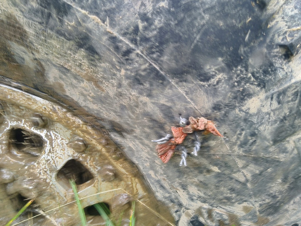 Владимир Синельщиков и Владимир Кострикин из команды Banzai! Trophy Team несколько дней покоряли непролазные болота и в итоге заняли призовое место