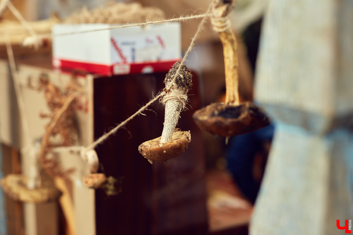 Букеты из сухоцветов, керамическая посуда, шарфы и свитера из собачьей шерсти. На «Осеннем маркете» было по-весеннему тепло и уютно