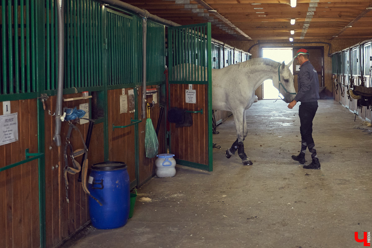 Екатерина Добронравова установила удивительно доверительный контакт со своей лошадью Далиной благодаря методике гуманного отношения к питомцу. Это добрая история про иппотерапию и дружбу