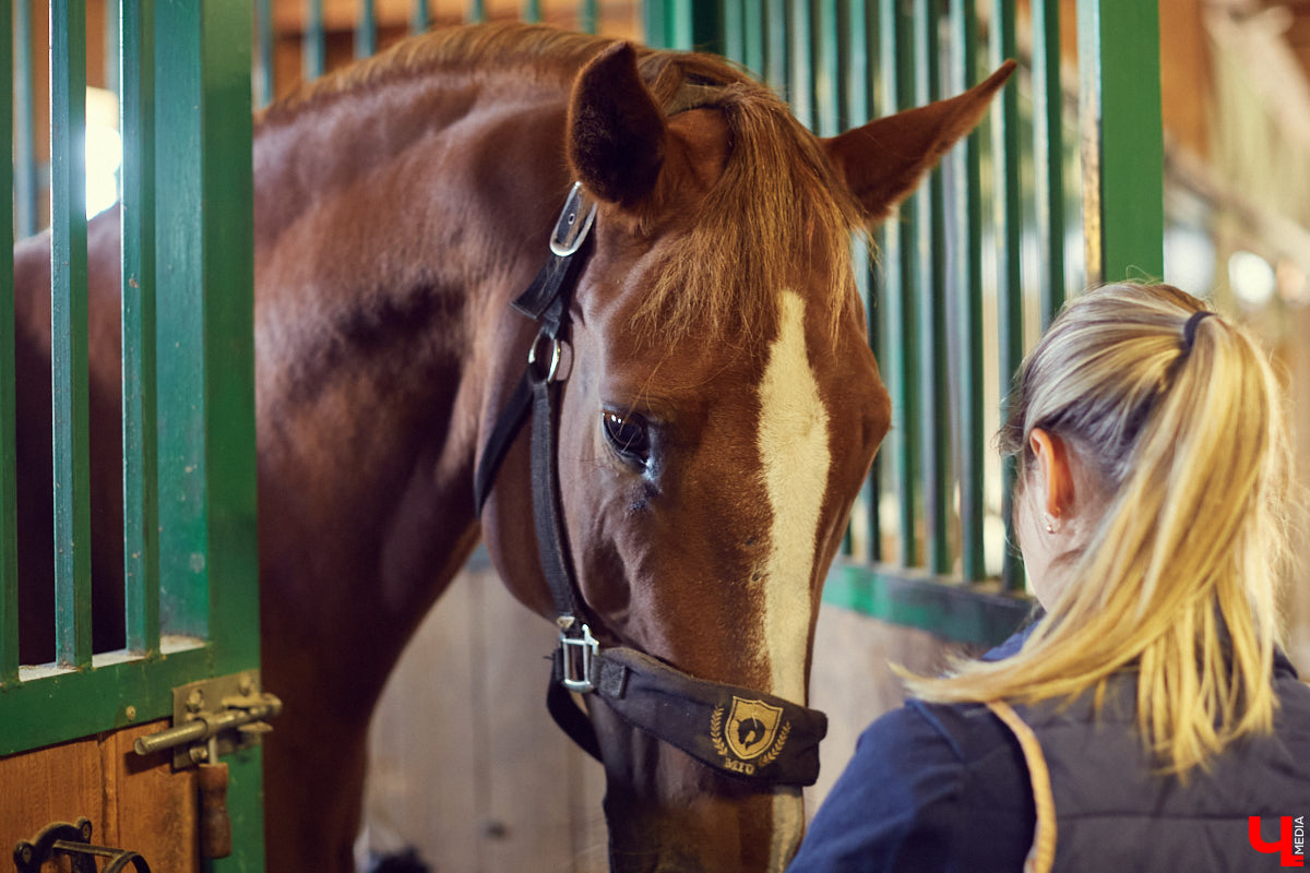 Екатерина Добронравова установила удивительно доверительный контакт со своей лошадью Далиной благодаря методике гуманного отношения к питомцу. Это добрая история про иппотерапию и дружбу