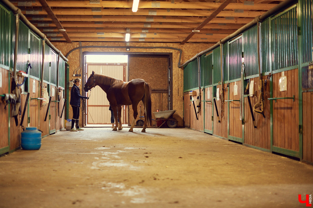 Екатерина Добронравова установила удивительно доверительный контакт со своей лошадью Далиной благодаря методике гуманного отношения к питомцу. Это добрая история про иппотерапию и дружбу